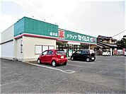 ドラッグセイムス金子店まで1284m