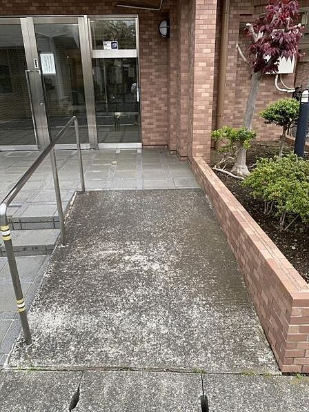 緑の植栽が彩るエントランスへのアプローチは、帰宅するたびにほっと和む落ち着いた雰囲気が魅力です。4階角住戸までの道のりも、毎日静かな気持ちで歩いていただけます。