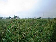 北海道釧路市北園41-1439：物件画像