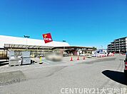 ＤＣＭ小深店まで443m