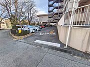 撮影日:2026/01/15
