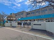 松戸市立新松戸南小学校まで150m、撮影日:2026/03/01　260　松戸市立新松戸南小学校