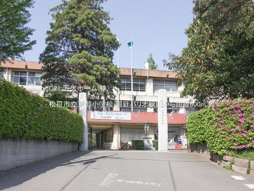 Image 10