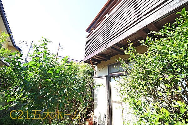 外観を拡大表示