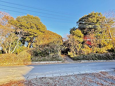 外観：南風景