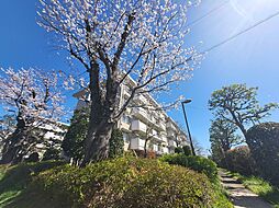 蓮田駅前住宅10号棟