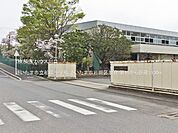 さいたま市立柏陽中学校 1130m