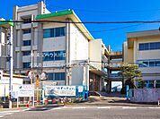 鴻巣市立田間宮小学校 500m