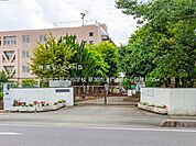 草加市立新栄中学校 1100m