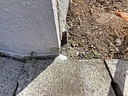 2026年5月中旬撮影