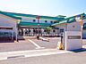 周辺：ひまわり保育園 100m