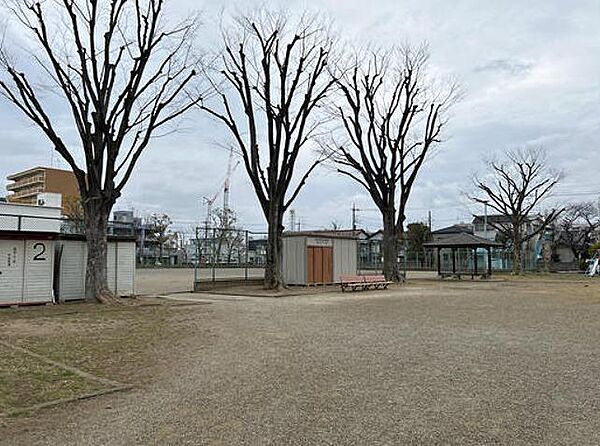 周辺を拡大表示