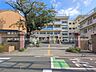 周辺：さいたま市立木崎小学校 630m