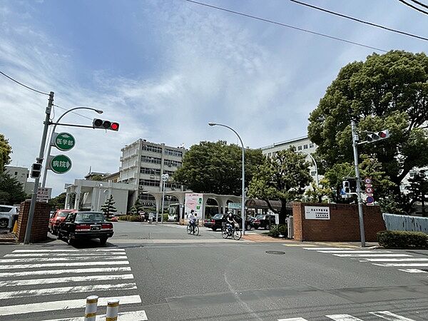 周辺を拡大表示