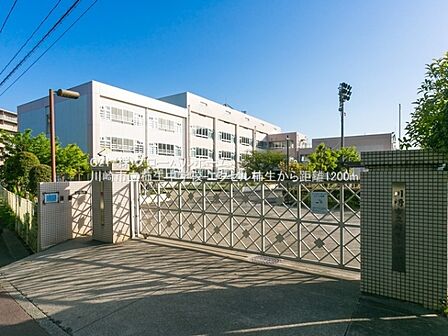 川崎市立柿生中学校まで1200m