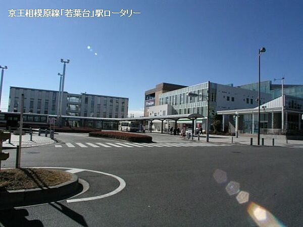 周辺を拡大表示