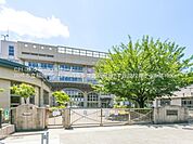 川崎市立稲田小学校まで1000m