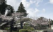小机幼稚園まで357m