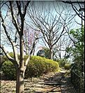 南太田四丁目公園まで747m