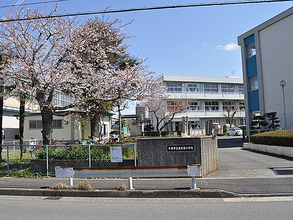 周辺を拡大表示