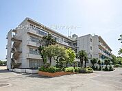 鎌ケ谷市立道野辺小学校まで754m