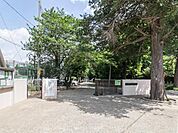 船橋市立御滝中学校まで1000m