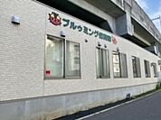 ブルゥミング保育園まで659m