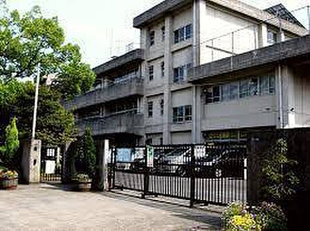 習志野市立谷津南小学校まで250m