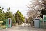 周辺：市川市立中国分小学校まで469m