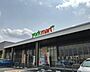 周辺：ヨークマートもねの里店まで1524m