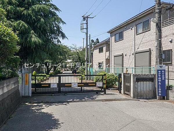 周辺を拡大表示
