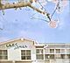 周辺：市川市立信篤幼稚園まで500m