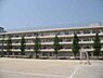周辺：市川市立大洲中学校まで54m