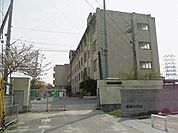 八尾市立龍華中学校まで822m