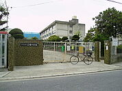 八尾市立美園小学校まで997m