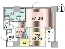 プライムメゾン南2条 1LDKの間取図画像