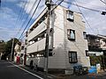 現地写真