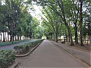 竹野緑地まで326m