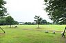 周辺：入西公園まで1390m