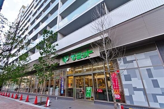 サミットストア...