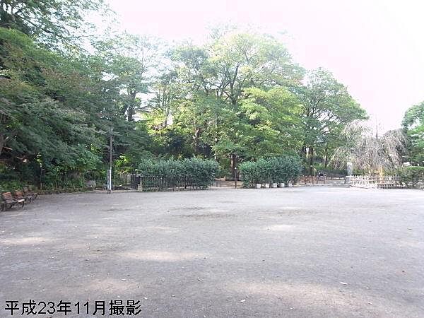周辺を拡大表示