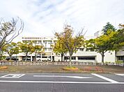 神奈川県立循環器呼吸器病センターまで1720m、神奈川県立循環器呼吸器病センター