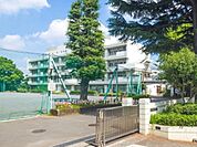 横浜市立石川小学校まで260m、横浜市立石川小学校