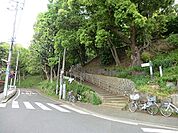山手公園まで653m、テニス発祥の地であり、テニス教室も開催されます。また、春には桜色のトンネルを楽しめる花見の名所です。