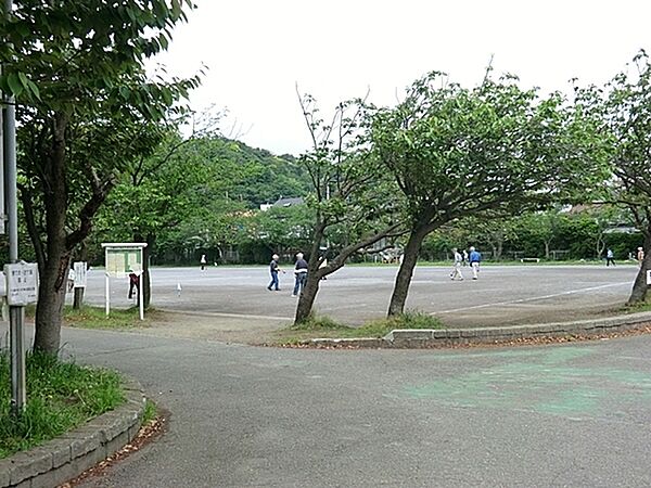 周辺を拡大表示