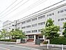 周辺：横浜市立新田中学校まで2059m
