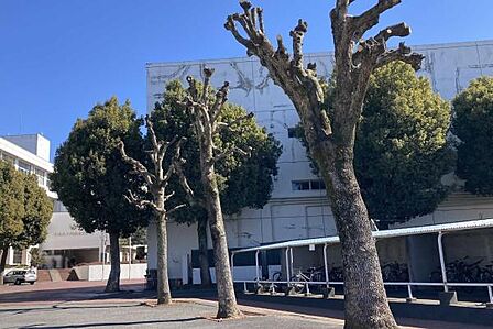 つくば市立竹園東中学校まで630m、お子さまが成長しても暮らせます。