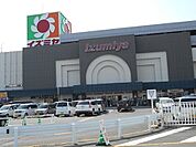 イズミヤ和歌山店まで872m