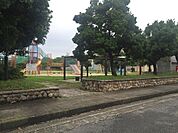 大新公園まで809m