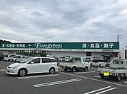 エバグリーン海南店まで1713m